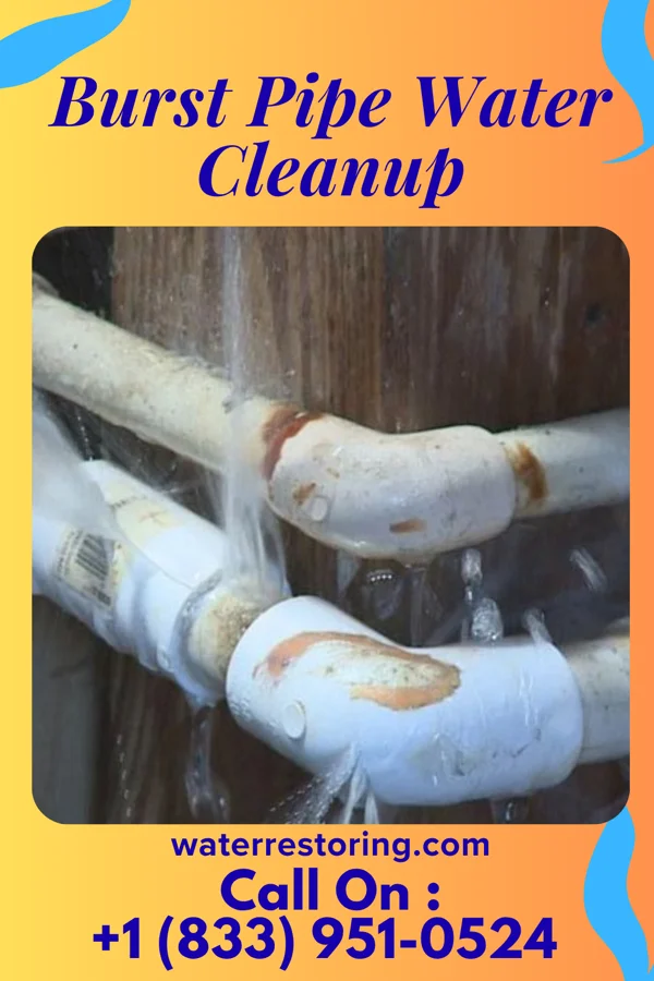Burst Pipe Water Cleanup in Kenhorst, PA