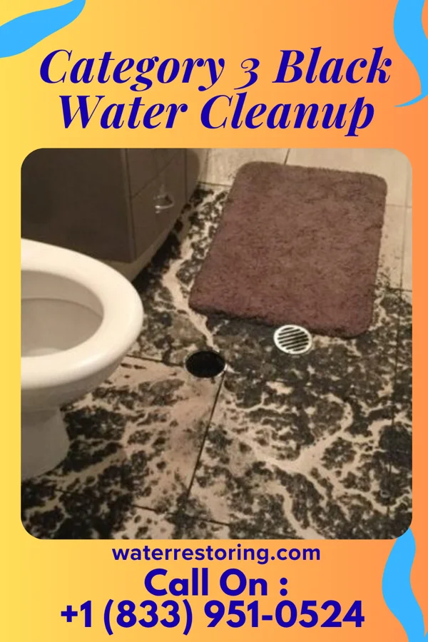 Category 3 Black Water Cleanup in Kenhorst, PA