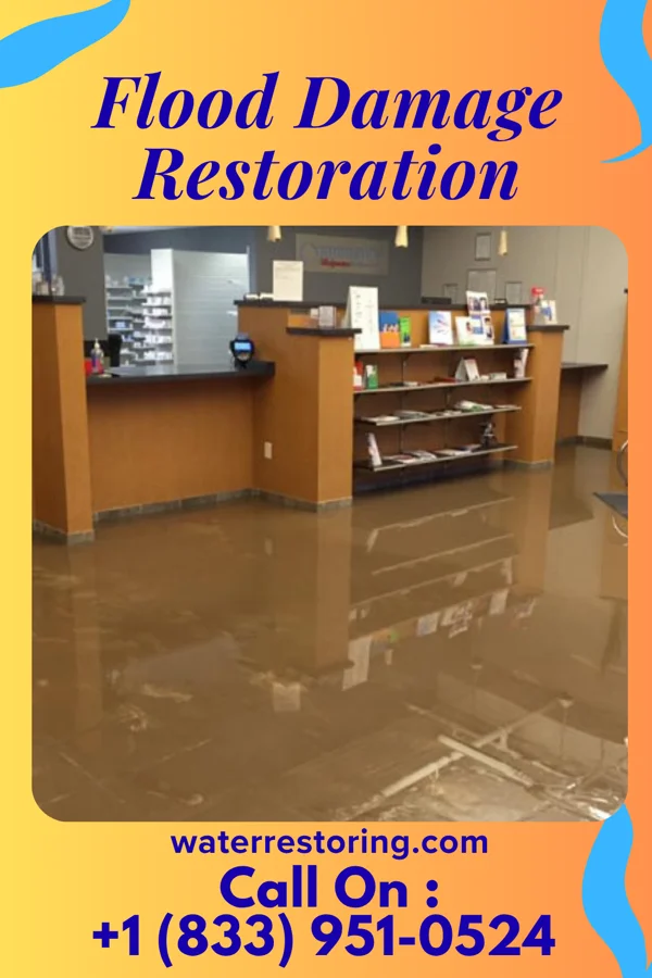 Flood Damage Restoration in Kenhorst, PA