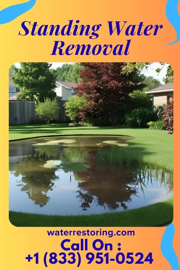 Standing Water Removal in Kenhorst, PA